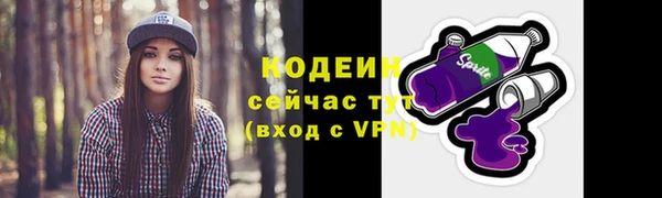 дмт Костерёво
