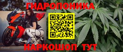 ПСИЛОЦИБИНОВЫЕ ГРИБЫ Изобильный