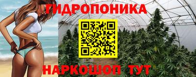 ПСИЛОЦИБИНОВЫЕ ГРИБЫ Изобильный