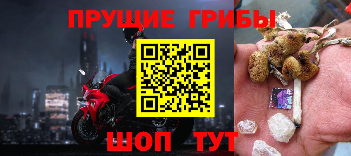 Новый Уренгой  Галлюциногенные грибы Psilocybine cubensis  наркошоп  Вход с VPN 