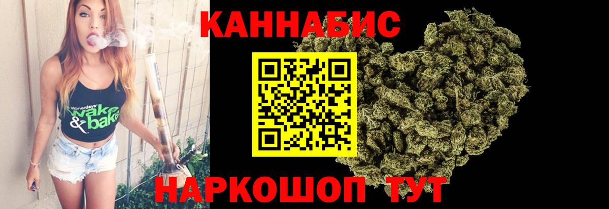 Бошки марихуана сатива Новый Уренгой